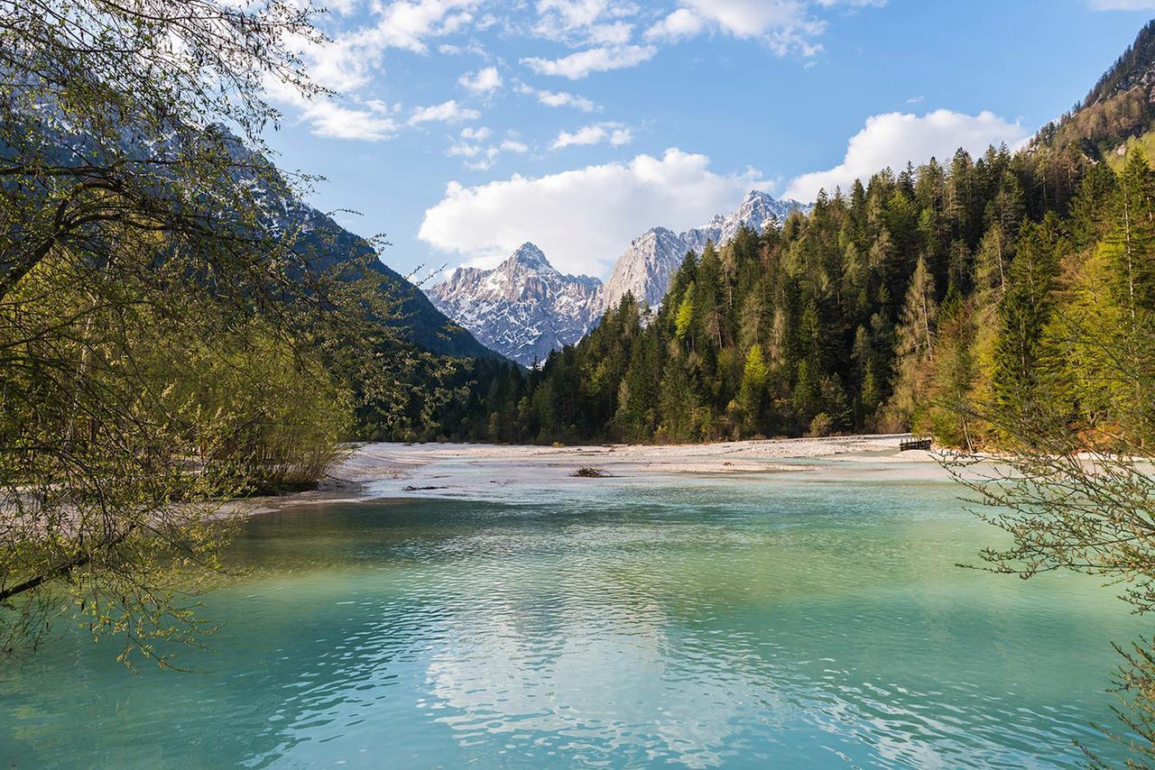 Villa Planina Kranjska Gora Extérieur photo